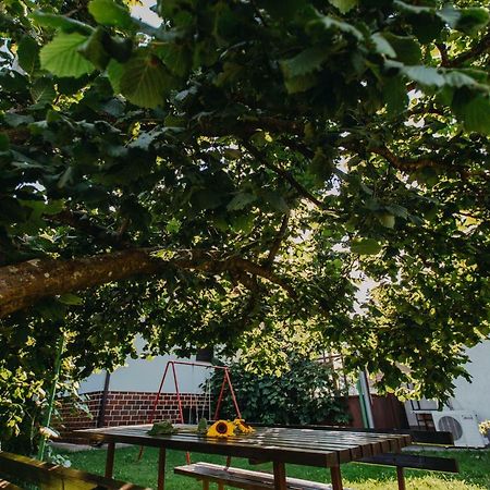 Apartman Vejama Josipdol Εξωτερικό φωτογραφία